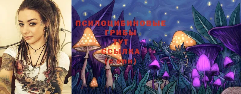 купить наркотики сайты  darknet клад  Галлюциногенные грибы Cubensis  Ртищево 